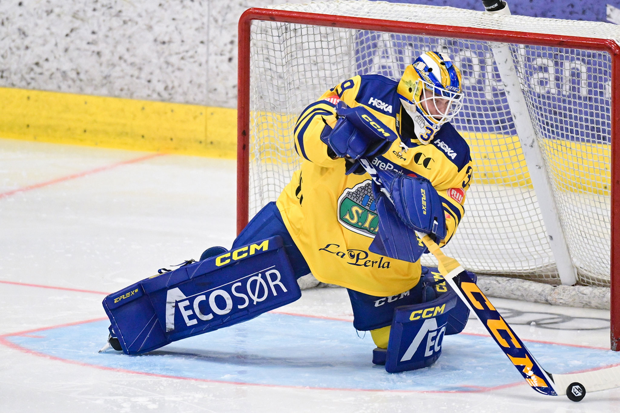 39 Trym Gran - Storhamar Hockey