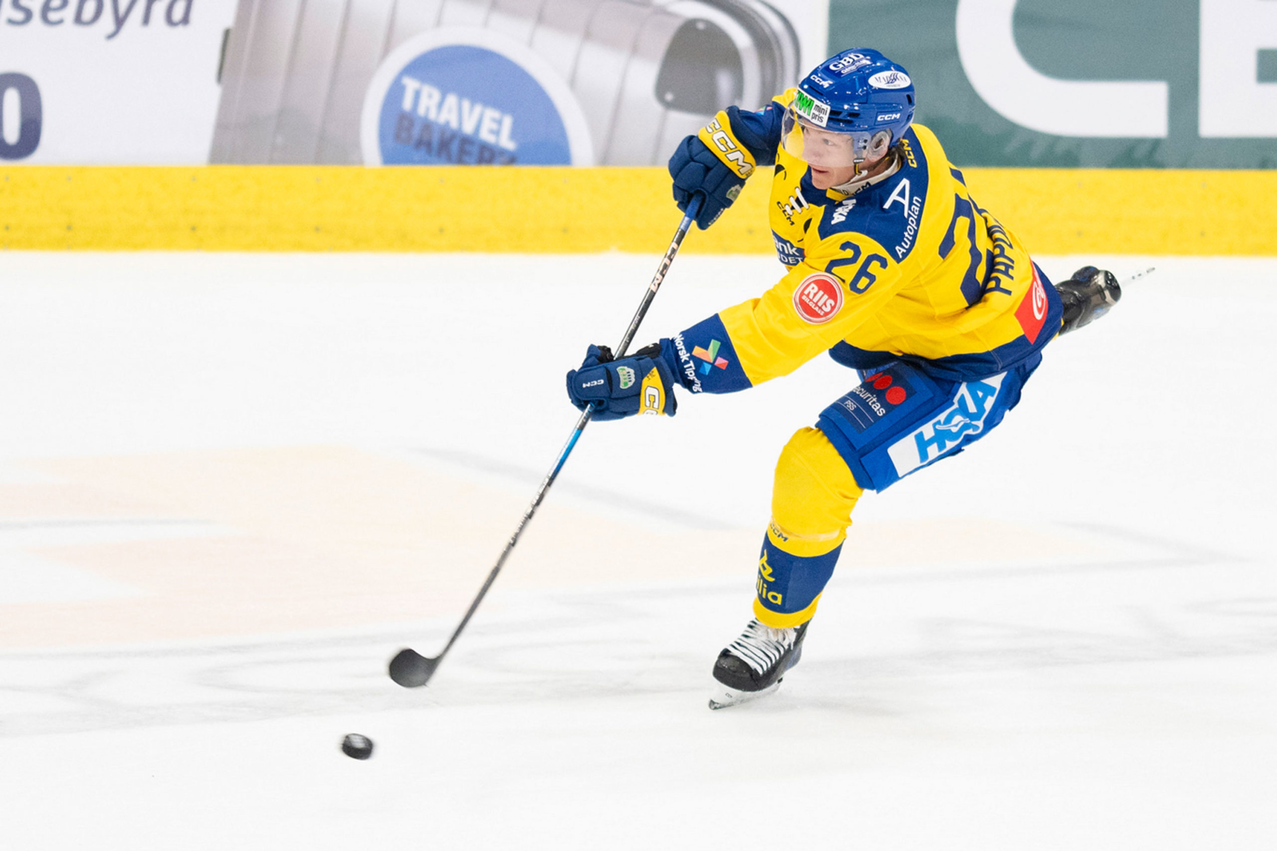 papuga-i-skuddet